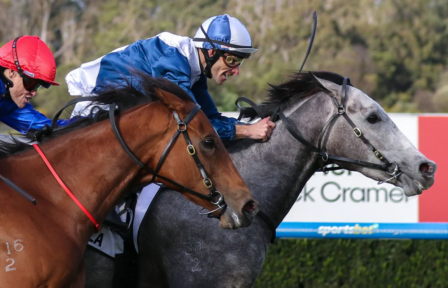 2026 Moir Stakes winner My Gladiola
