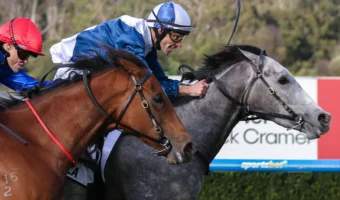 Moir Stakes 2026 Results: My Gladiola Storms to a Breakthrough Group 1 Win