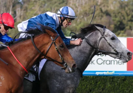 2026 Moir Stakes winner My Gladiola
