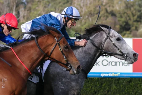 2026 Moir Stakes winner My Gladiola