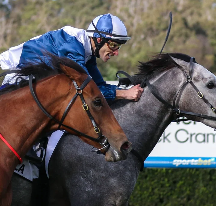 Moir Stakes 2026 Results: My Gladiola Storms to a Breakthrough Group 1 Win