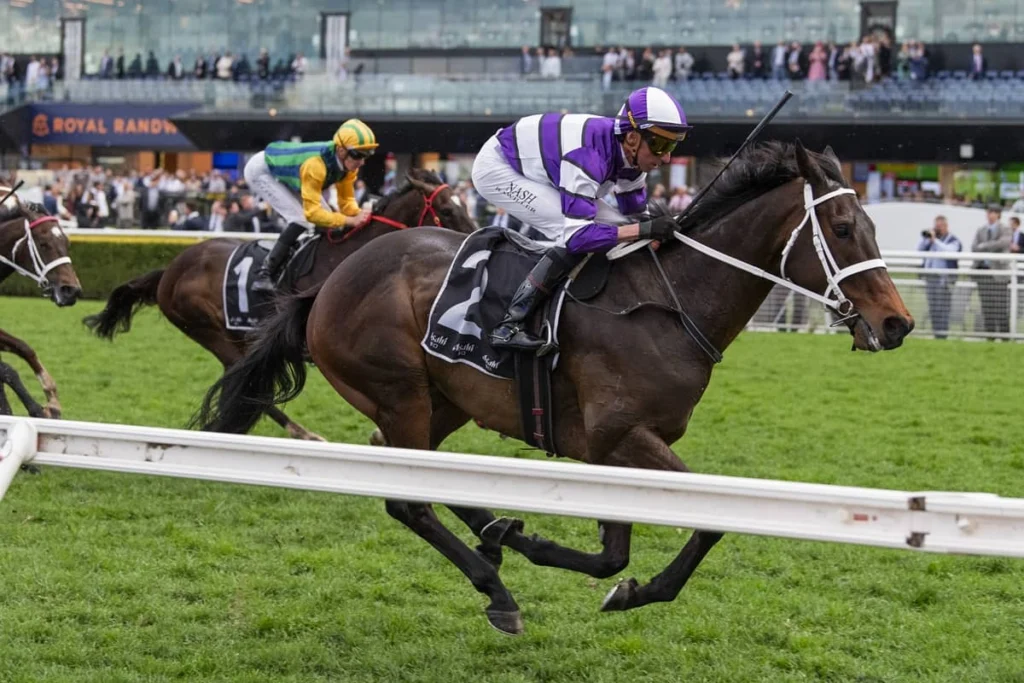 2026 Chelmsford Stakes winner Linermann