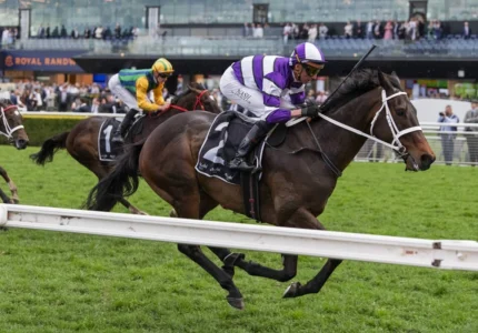 2026 Chelmsford Stakes winner Linermann