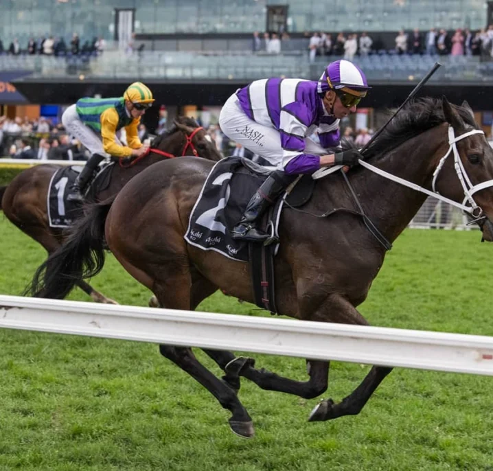 Lindermann Dominates Chelmsford Stakes 2026 Results Again