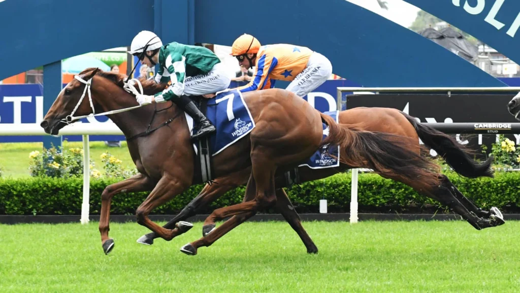 2026 Epsom Handicap nominations - Well Written