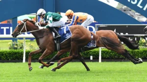 2026 Epsom Handicap nominations - Well Written