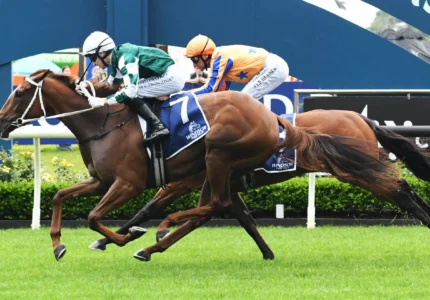 2026 Epsom Handicap nominations - Well Written
