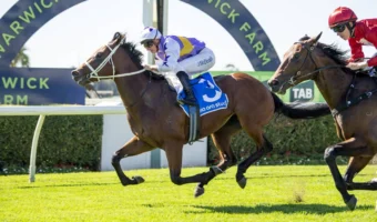 2026 Run To The Rose Preview, Betting Update & Tips