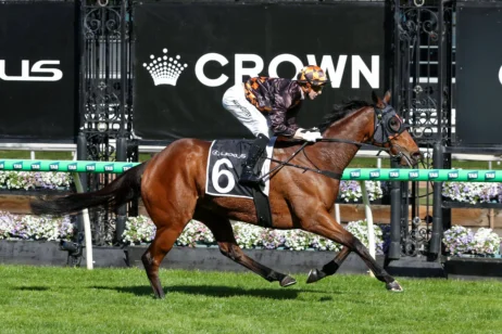 2026 Lexus Archer Stakes winner Shockletz
