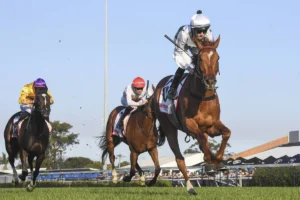 2026 Newcastle Gold Cup winner Aethelwulf