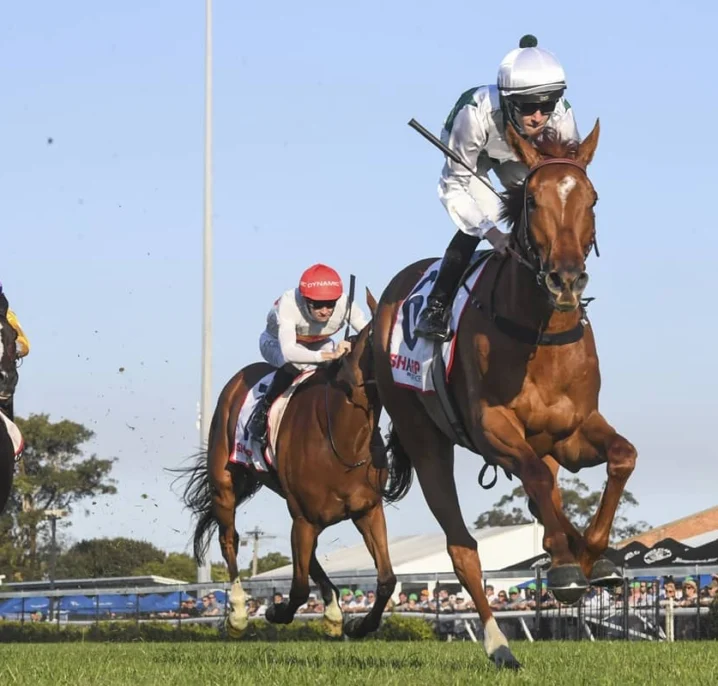 2026 Melbourne Cup Dream Alive for Newcastle Gold Cup Winner Aethelwulf