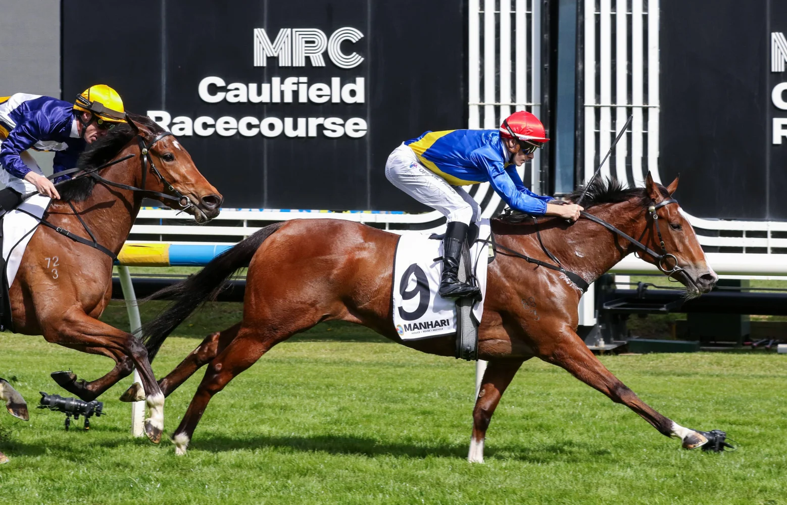 2026 Thousand Guineas Prelude winner Icelady
