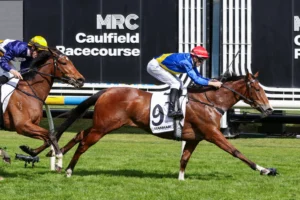 2026 Thousand Guineas Prelude winner Icelady