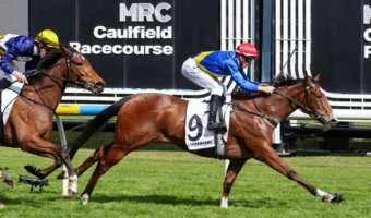 Prelude Winner Icelady Firms in 2026 Thousand Guineas Betting