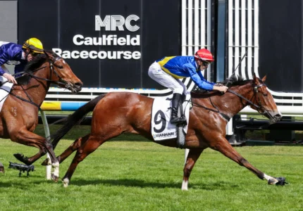 2026 Thousand Guineas Prelude winner Icelady