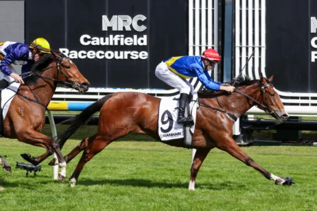 2026 Thousand Guineas Prelude winner Icelady