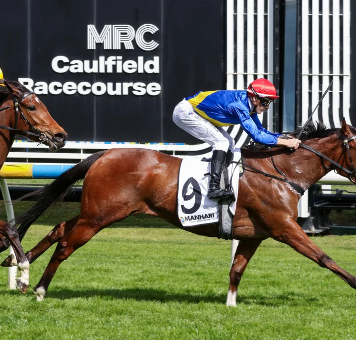 Prelude Winner Icelady Firms in 2026 Thousand Guineas Betting