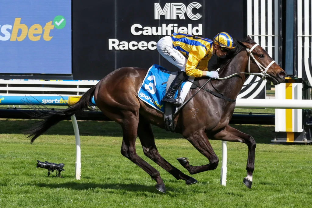 2026 Caulfield Guineas Prelude winner Blind Raise