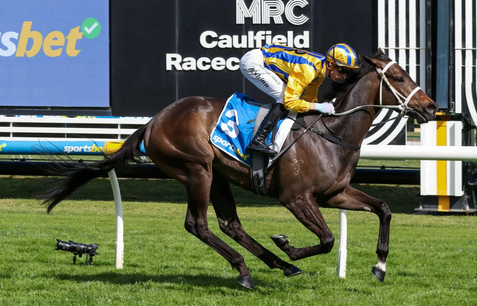 2026 Caulfield Guineas Prelude winner Blind Raise