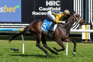 2026 Caulfield Guineas Prelude winner Blind Raise