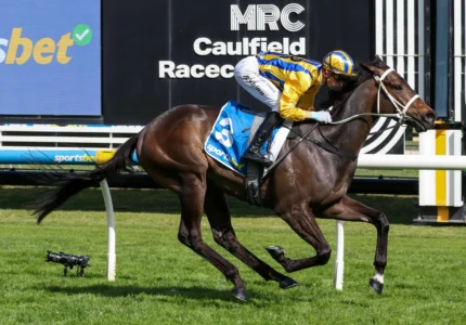 2026 Caulfield Guineas Prelude winner Blind Raise