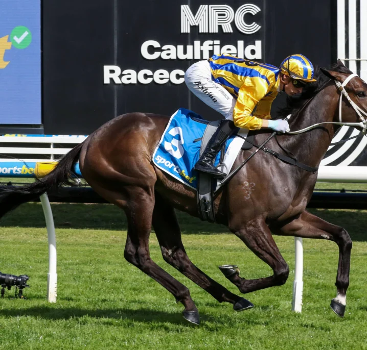Blind Raise Dominates 2026 Caulfield Guineas Prelude To Seize Guineas Favouritism