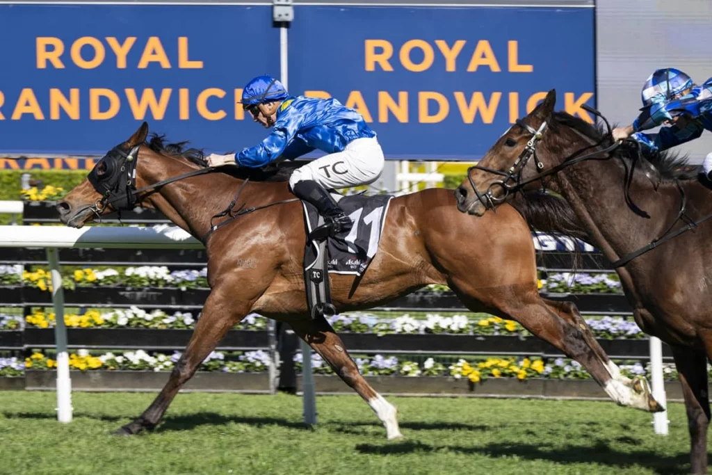 2026 Kingston Town Stakes winner The Euphrates