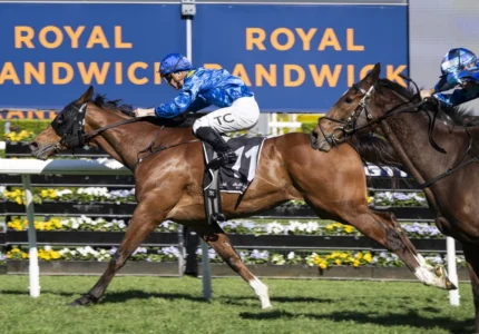2026 Kingston Town Stakes winner The Euphrates
