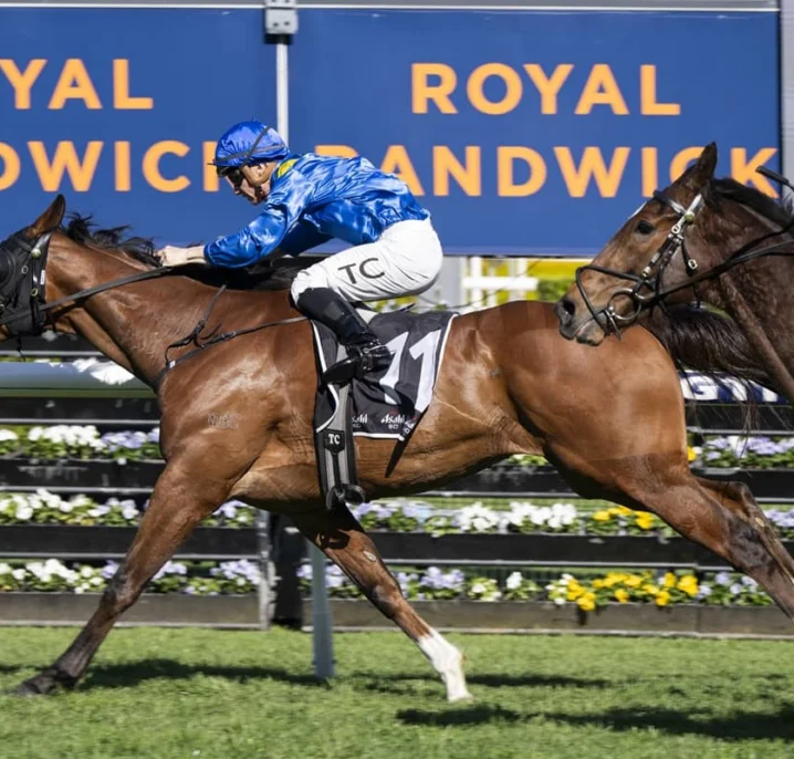 The Euphrates Powers into Spring Cups Calculations With 2026 Kingston Town Stakes Victory