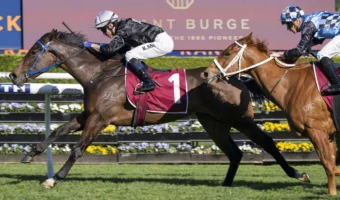 Bangkok Hottie Continues Golden Run With 2026 Tea Rose Stakes Win Ahead of Flight Stakes
