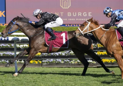 2026 Tea Rose Stakes winner Bangkok Hottie