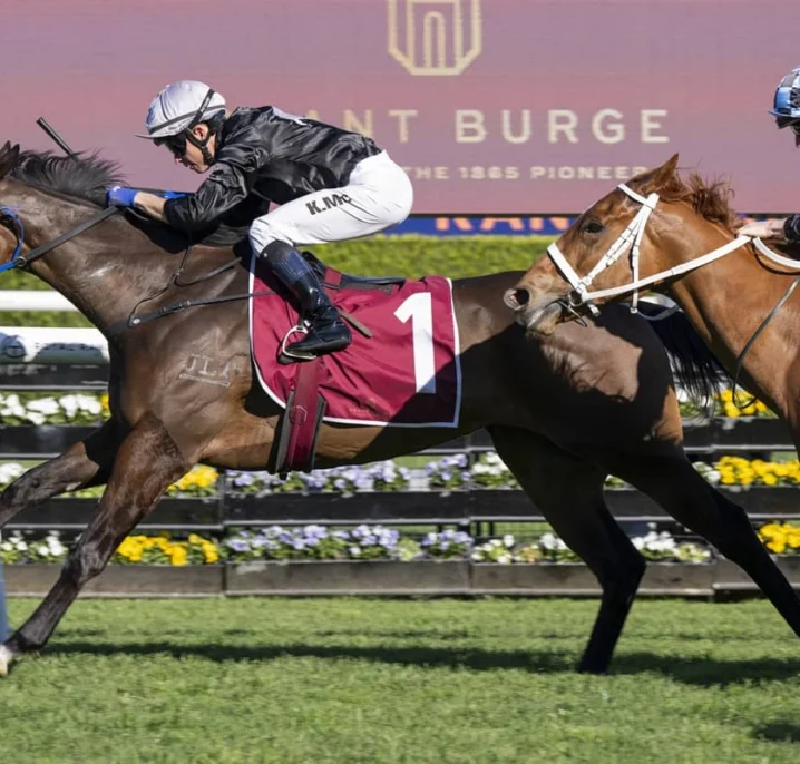 Bangkok Hottie Continues Golden Run With 2026 Tea Rose Stakes Win Ahead of Flight Stakes