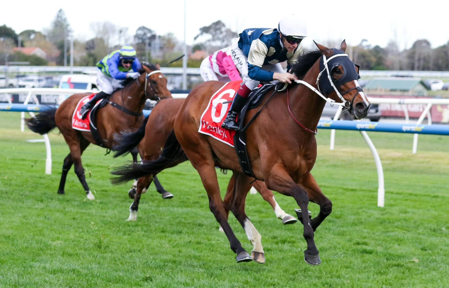2026 Underwood Stakes winner Birdman