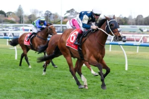 2026 Underwood Stakes winner Birdman