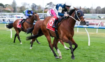 Birdman Soars to Underwood Stakes Glory, Emerges as Major 2026 Cox Plate Threat