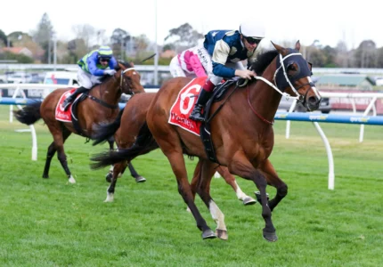 2026 Underwood Stakes winner Birdman