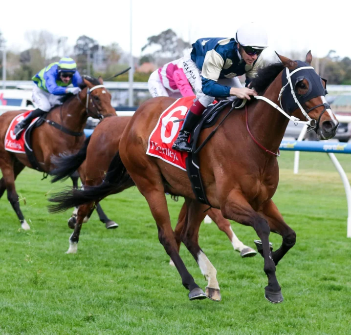 Birdman Soars to Underwood Stakes Glory, Emerges as Major 2026 Cox Plate Threat