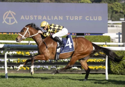 2026 7 Stakes winner Autumn Glow