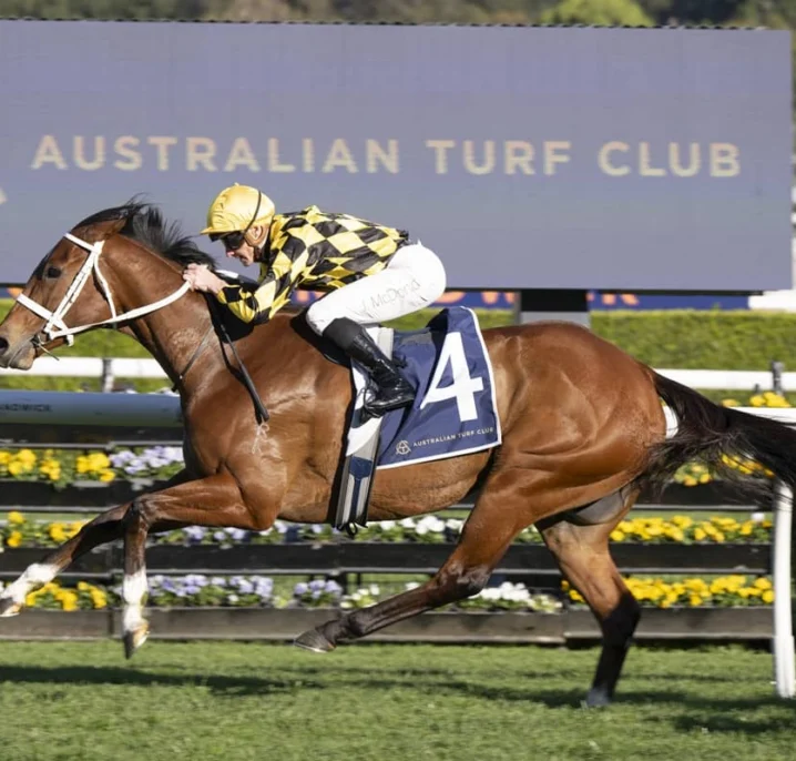 Autumn Glow Dominates 2026 7 Stakes, King Charles III Stakes Beckons
