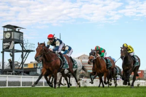 2026 Naturalism Stakes winner Zahrann