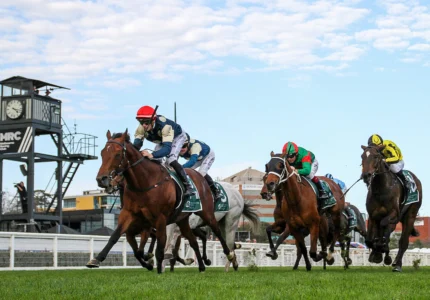 2026 Naturalism Stakes winner Zahrann