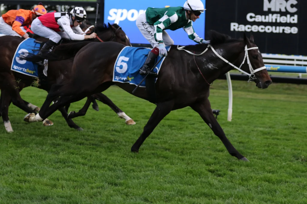 2026 Sir Rupert Clarke Stakes winner Angel Capital
