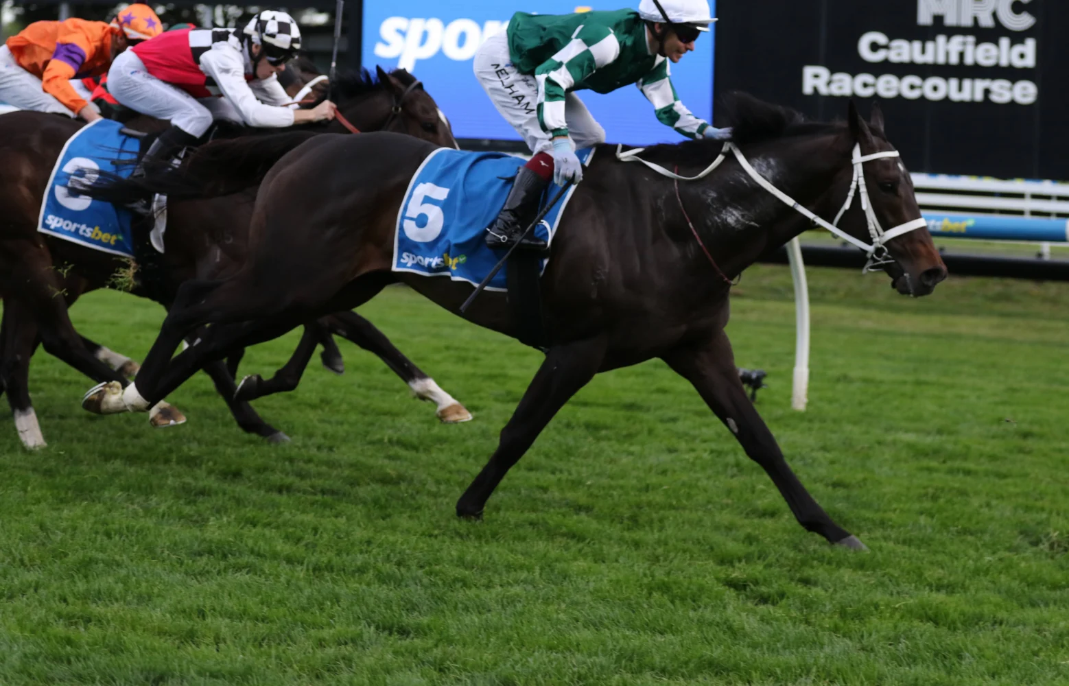 2026 Sir Rupert Clarke Stakes winner Angel Capital