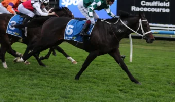 2026 Sir Rupert Clarke Stakes Results: Angel Capital Breaks Through for Deserved Group 1 Glory