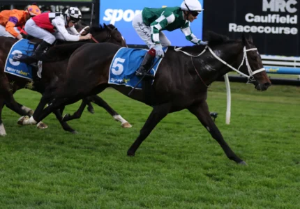 2026 Sir Rupert Clarke Stakes winner Angel Capital