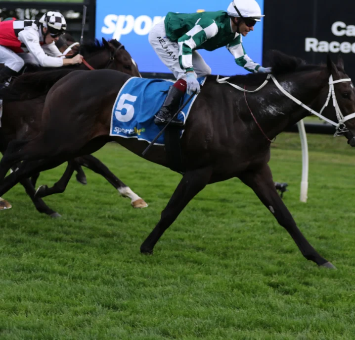 2026 Sir Rupert Clarke Stakes Results: Angel Capital Breaks Through for Deserved Group 1 Glory