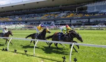 Colin Stephen Winner So You Are Firms in Melbourne Cup 2026 Betting