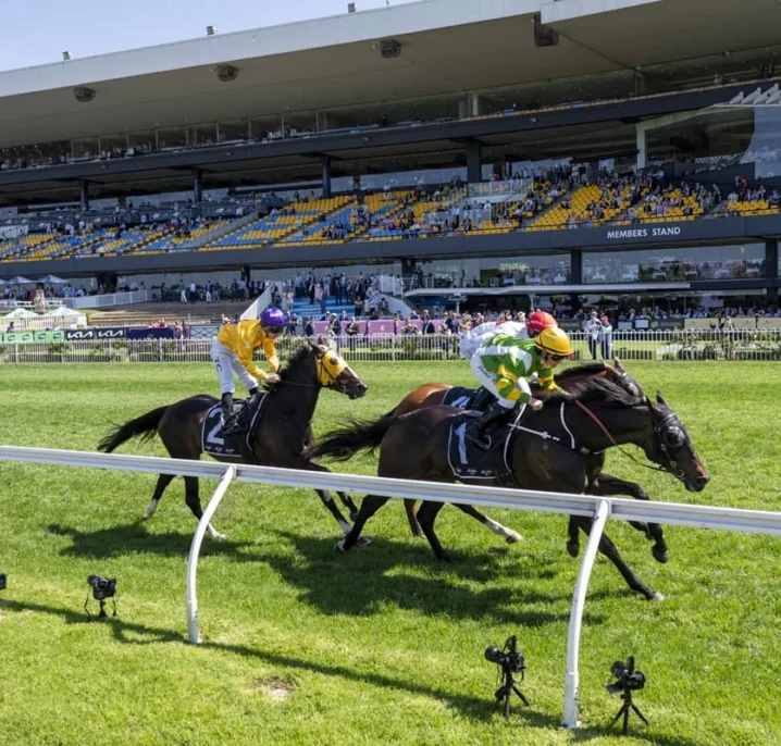 Colin Stephen Winner So You Are Firms in Melbourne Cup 2026 Betting