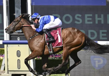 2026 Heritage Stakes winner Blue Door