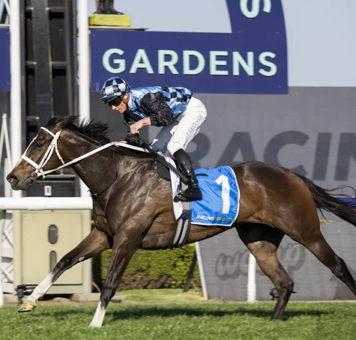 2026 Golden Pendant Results: Lazzura Wins, Firms in Group 1 Futures
